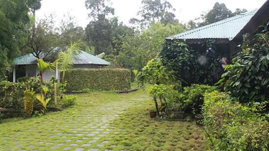 Honeymoon Cottages Dew Drops Farm Resort Munnar Quiet Retreat